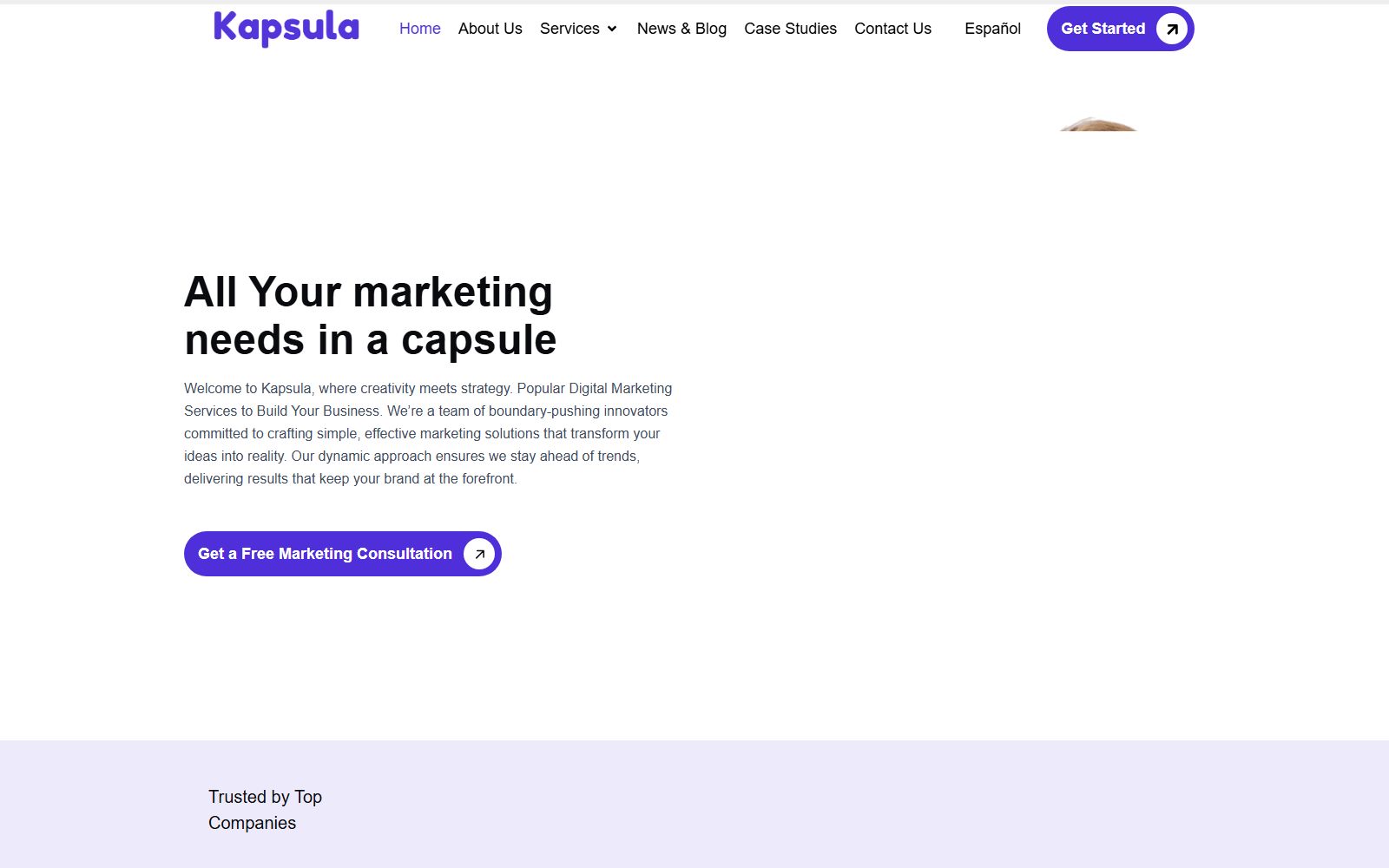 Kapsula website home page